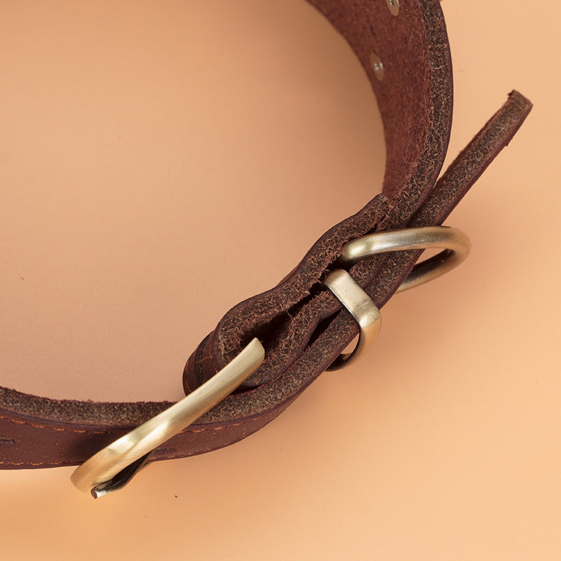 Leather Dog Collar