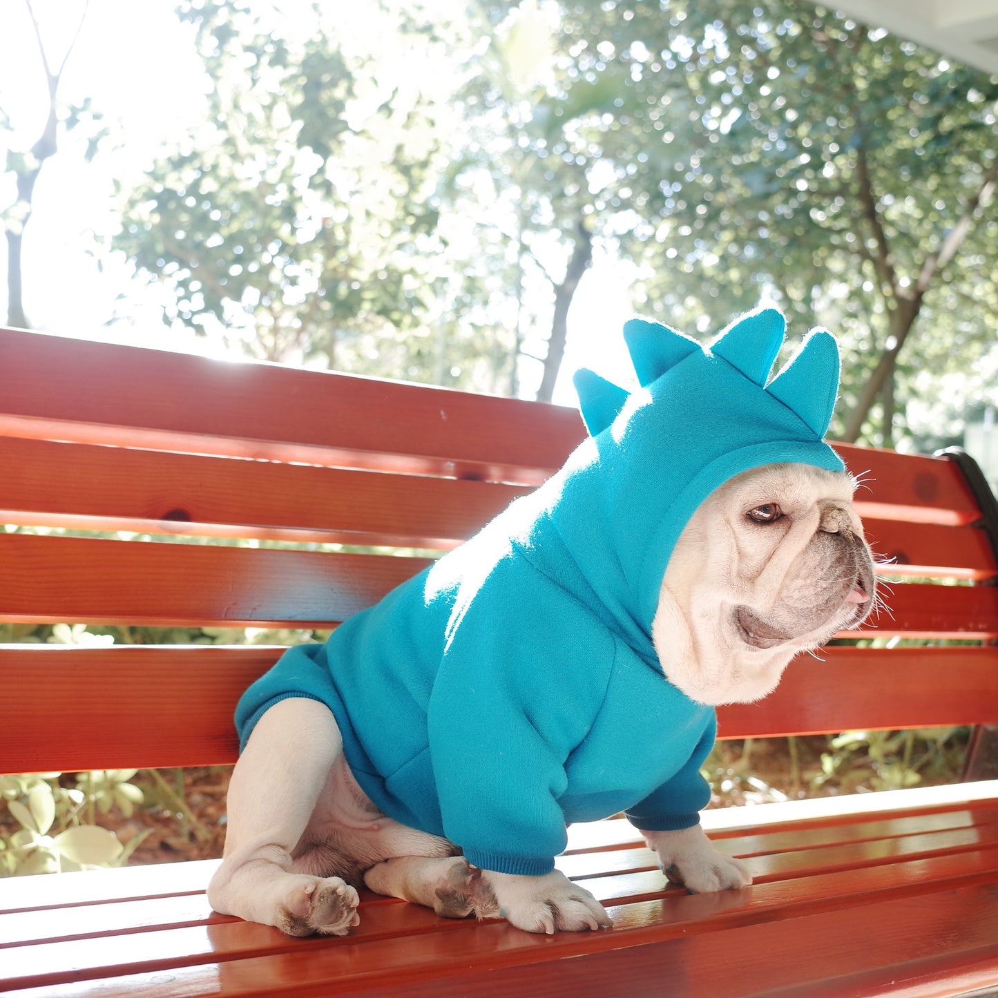 Solid Color Fleece Hoodie