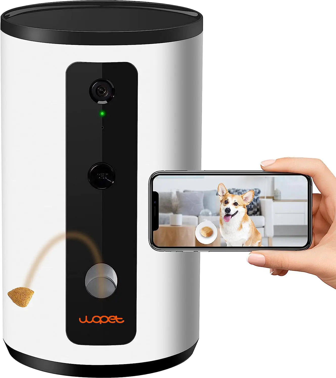 Pet Camera with audio and night vision