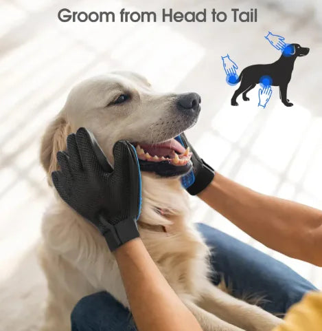 Dog facing owner, owner's hands are petting the dog with grooming gloves. Small diagram of dog with three indicators of where on the dogs body to use the gloves.