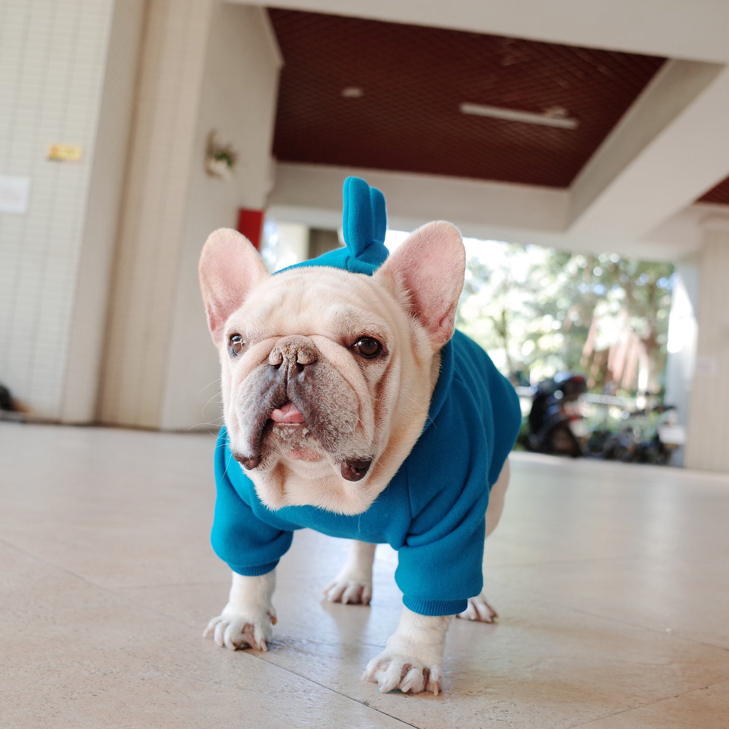 Solid Color Fleece Hoodie