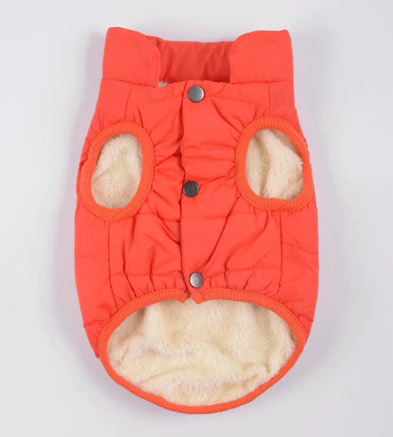 Padded Dog Vest