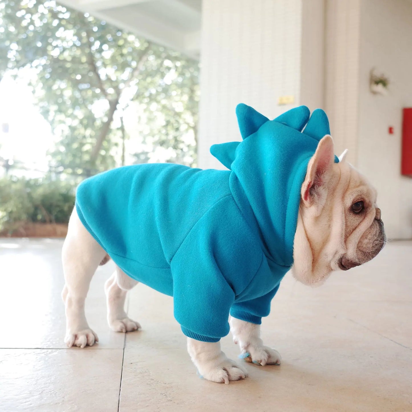 Solid Color Fleece Hoodie