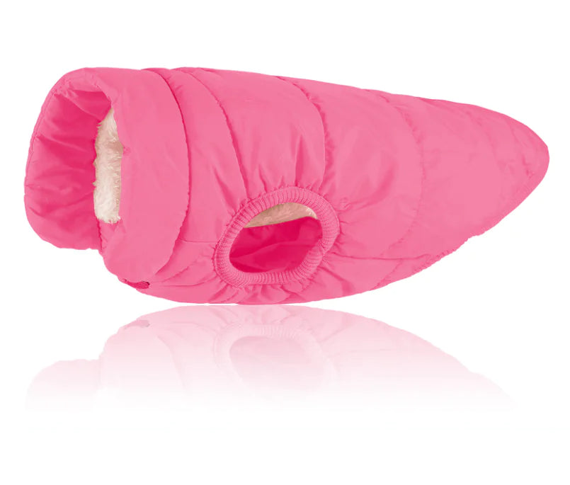 Padded Dog Vest