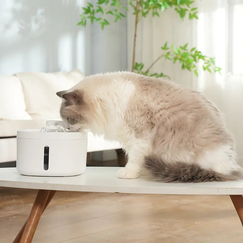 Wireless Smart Pet Water Fountain | 2.6L Stainless Steel