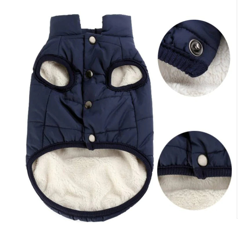 Padded Dog Vest