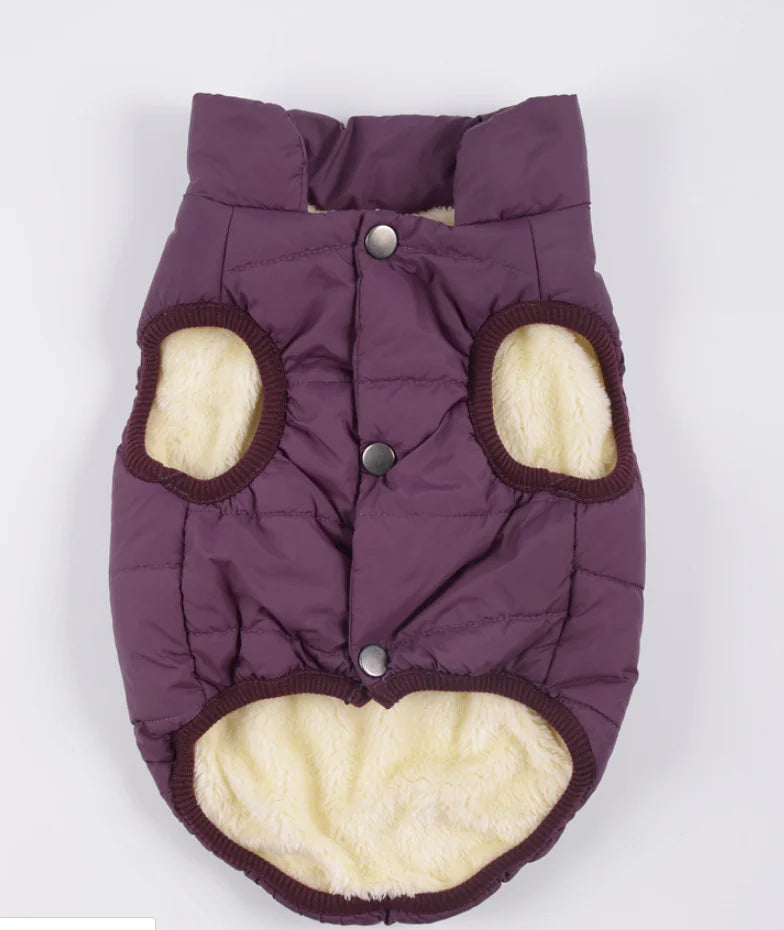 Padded Dog Vest