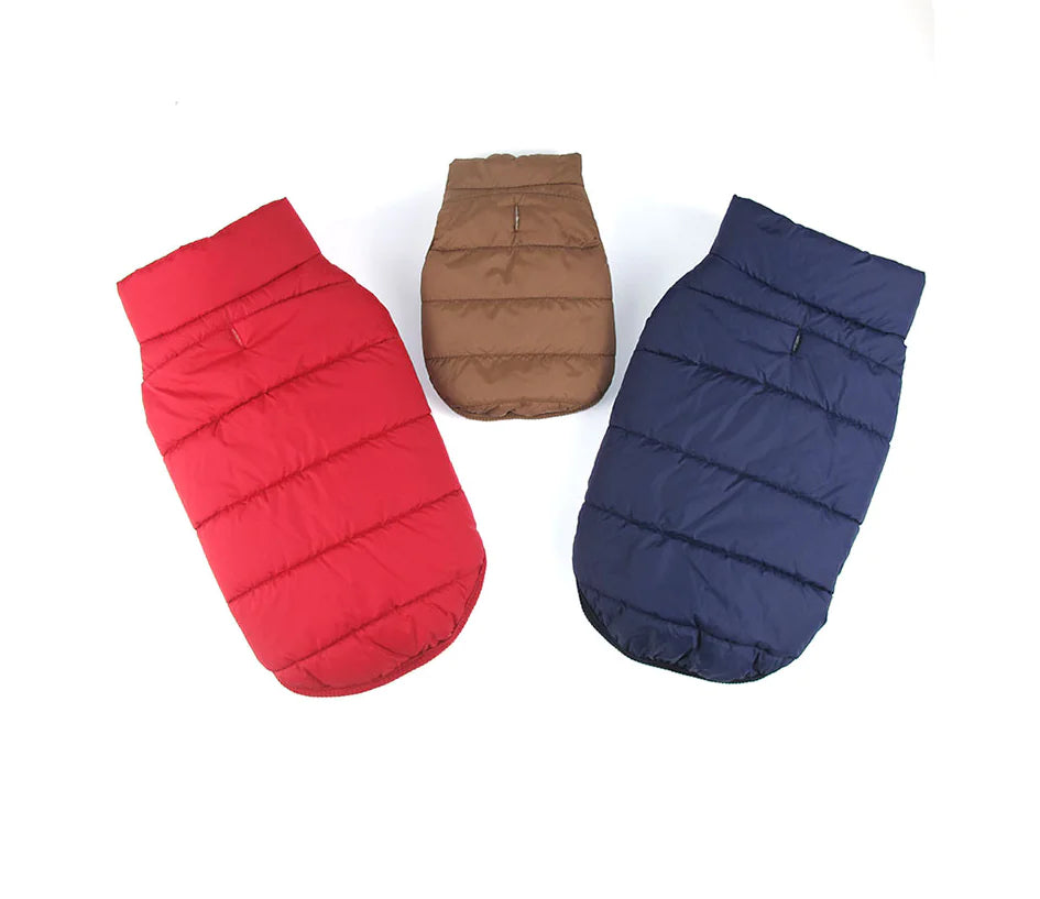 Padded Dog Vest
