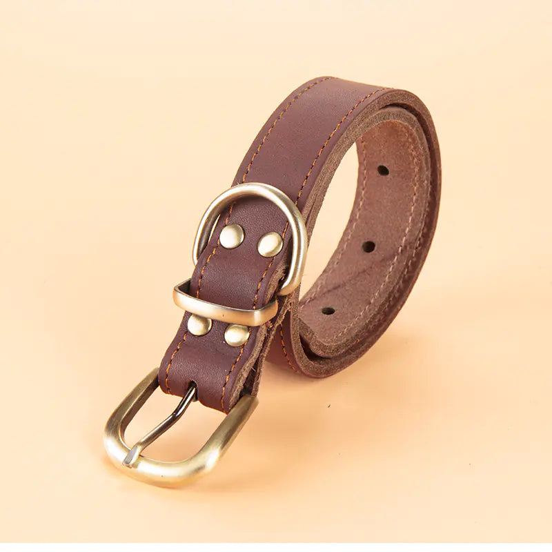 Leather Dog Collar